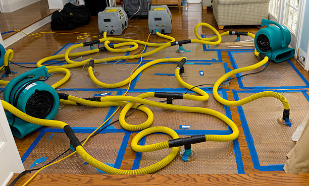 Professional Sewage Cleanup technician working in Plainfield, IL